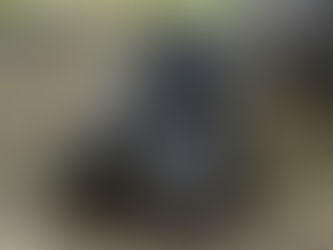 COMMON HEPATICA New Item