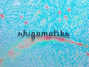 ライゾマティクス_マルティプレックス