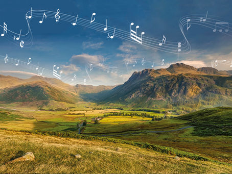 Integrating Handpan and Tongue Drum Music in Therapy: A Guide for Health Professionals 🎶🧠