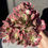 Thumbnail: Aeonium Pink Witch