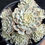 Thumbnail: Echeveria Minima variegated cluster