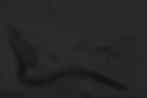 consultório-odontológico preto.jpg