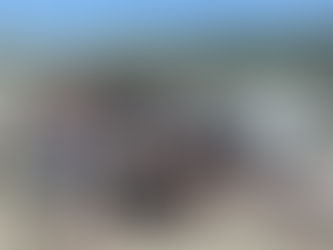 お手紙と折り鶴