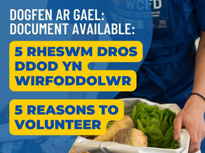 RESOURCE: 5 Reasons to Volunteer...