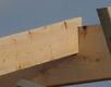 SANY0430.JPG