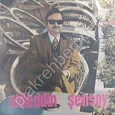 Alaeddin Şensoy