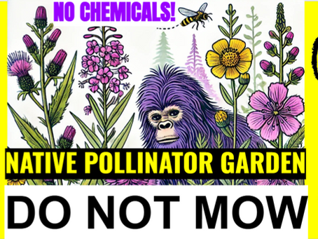 Rewilding Your Backyard: The Role of Pollinator Plants and Weedscape’s Mission