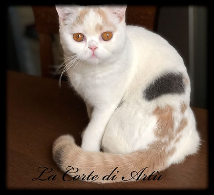 ED1C3399-F61B-4661-A55B-4DE926E9DC0C.JPE