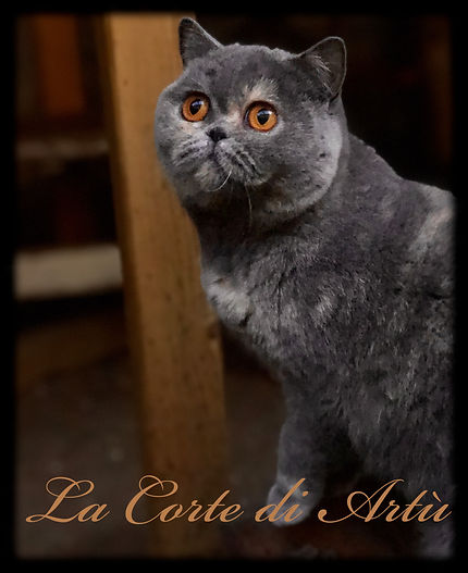 Monna Lisa.JPEG