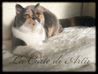 Clementina10m1.JPEG