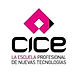 cice.jpeg