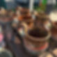 IMG_6159.jpeg