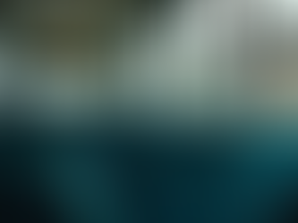 Direitos do Consumidor em Viagens de Ônibus e Avião