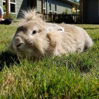 73139661_2987460714699734_5041072242316461141_n.jpeg