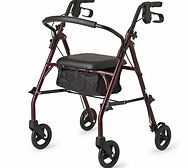 Standard Rollator.jpeg