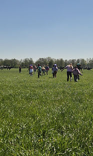 Kinderfeestje in het weiland
