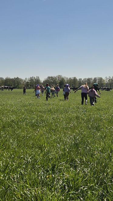 Kinderfeestje boerderij