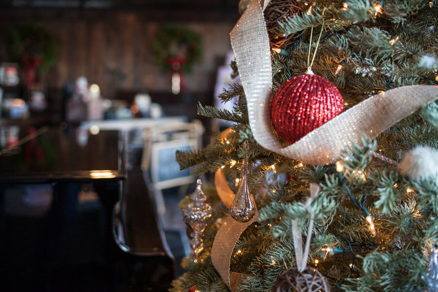 Poggio Leano December Newsletter 2025 Holiday