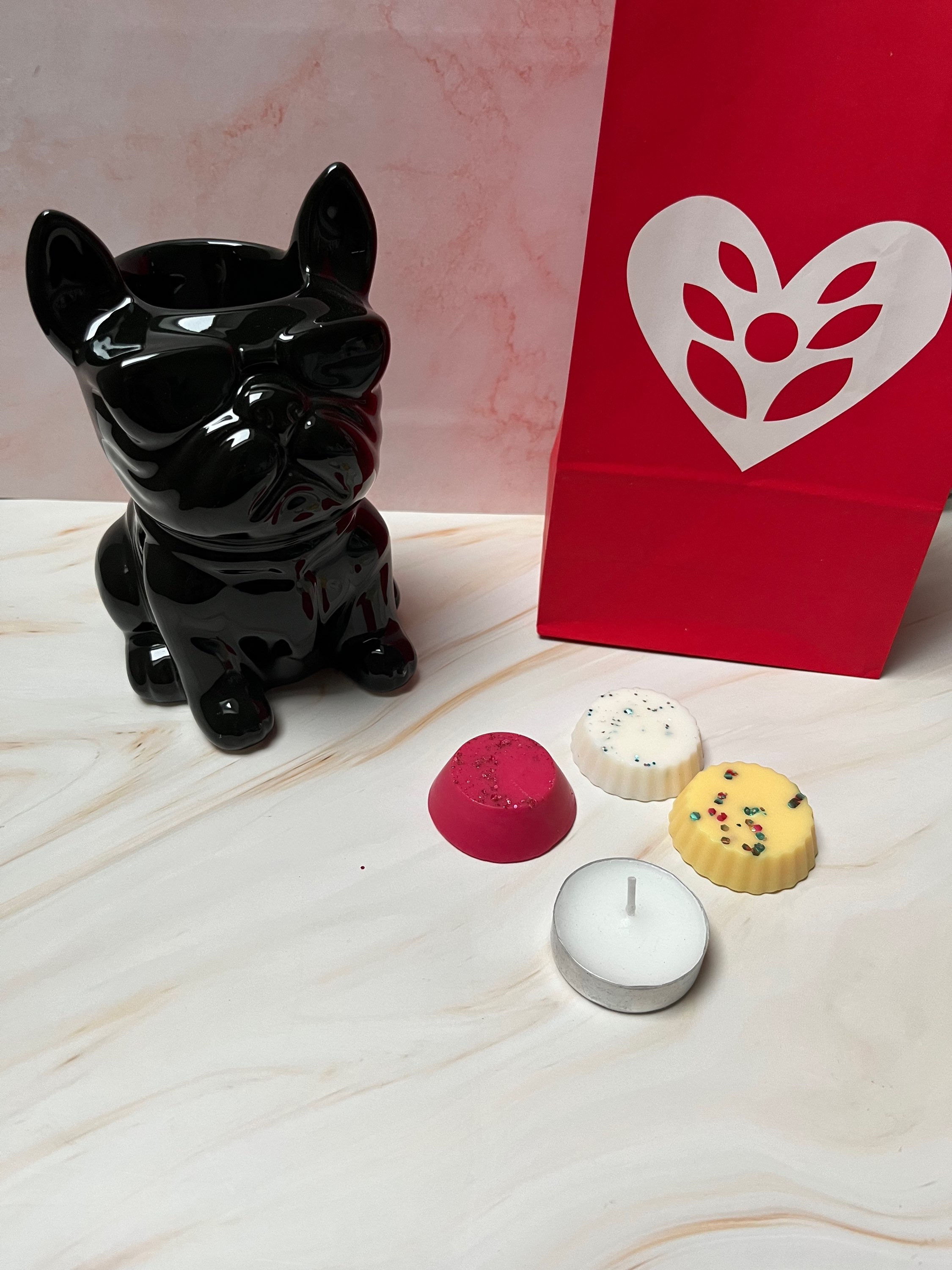 Coffret découverte bouledogue