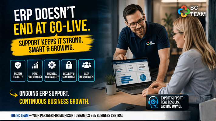 Ongoing ERP Support