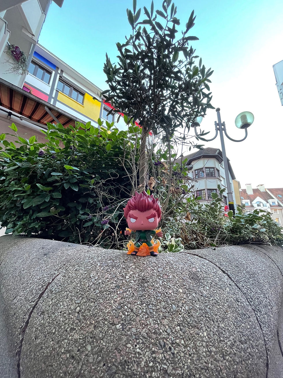 Miniature : POP Gaï Maïto