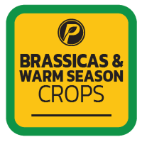 Brassicas.png