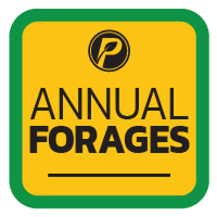 Annual Forages.png
