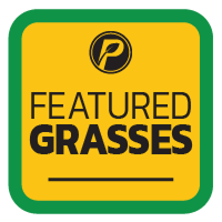 Featured Grasses.png