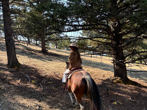 The Ranch at Rock Creek: The 1st Forbes Five-Star Ranch that you need to add to your bucketlist
