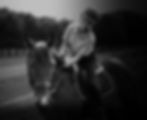 Forening-for-unge-i-dansk-ridesport-dressur-spring-military-paradressur-8-min.jpg