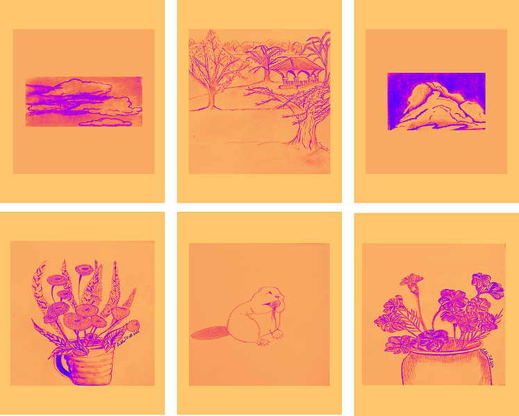 Untitled design.png