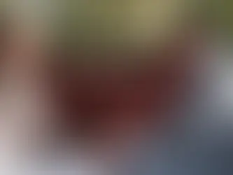 Top 10 Most Creative Barn Wedding Venue Ideas for Couples