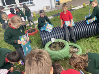 Settling into 3rd Class!