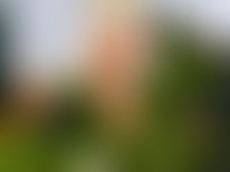 A flying start in First Class!