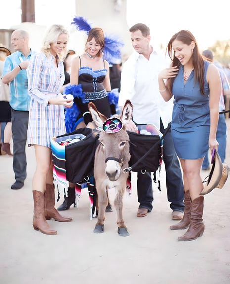 Beer burro rental providing drinks at an Arizona event.
