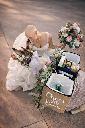 Nacho the beer burro in a close-up photo with the bride at Talking Stick Resort wedding.