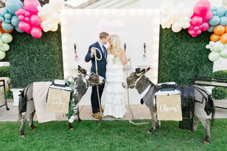 Beer burro offering drinks during a cocktail hour event.