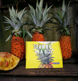 Summer In A Box