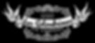 TEO Logo (1).jpg