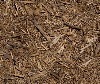 Untitled design (11).png