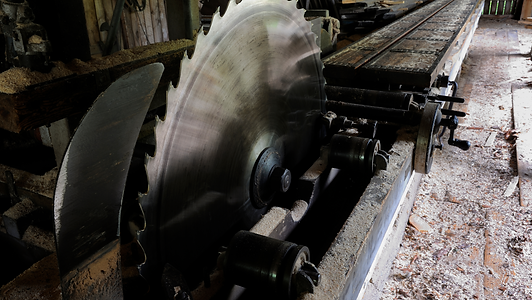 Untitled design (4).png