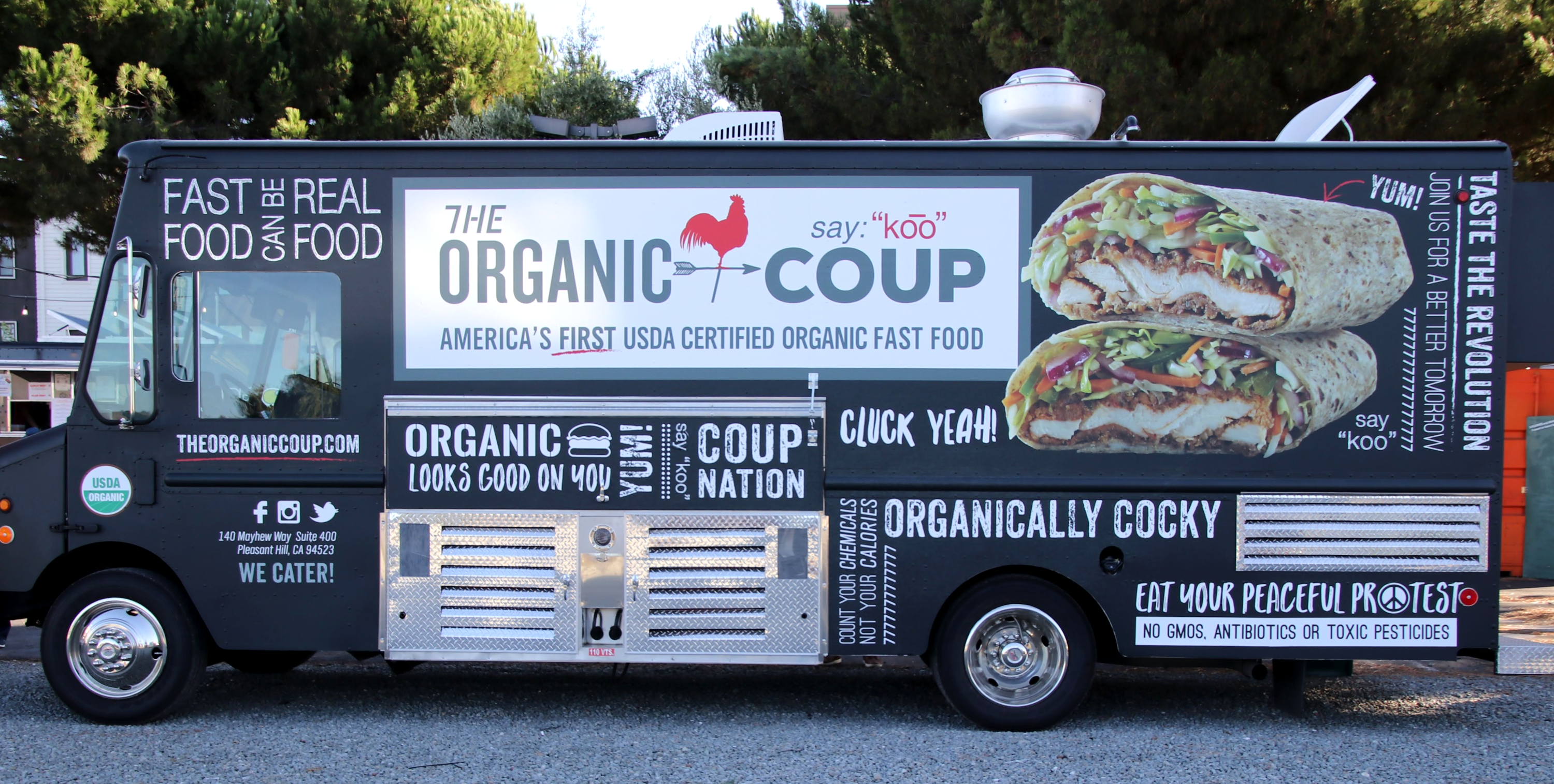 The Organic Coupe