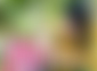 Common Dental Emergencies & What to Do About Them