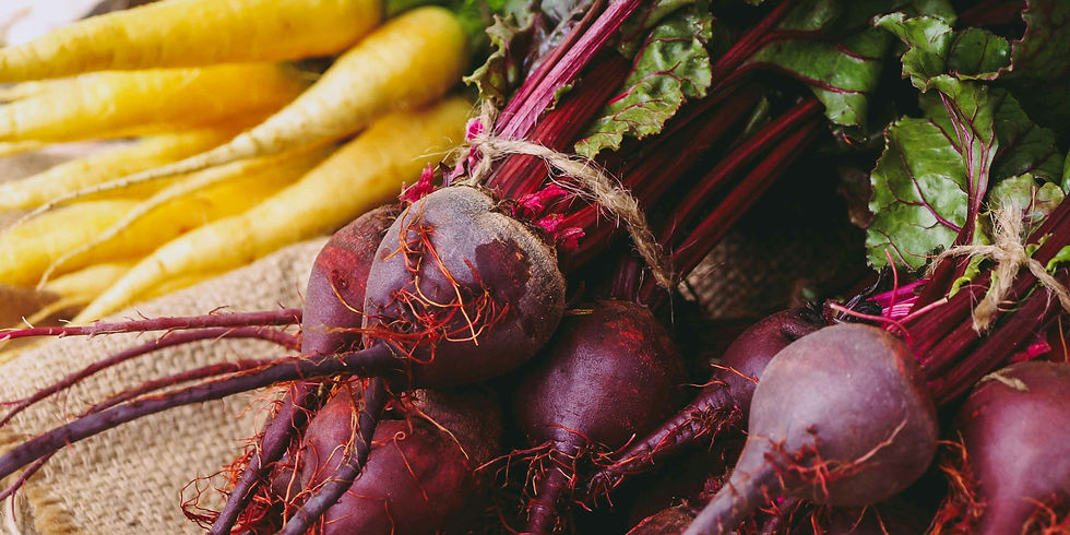 Fresh beets and yellow carrots.