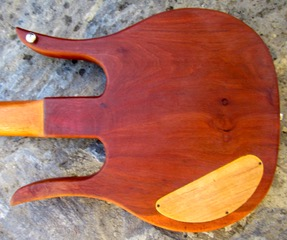 longhorn4