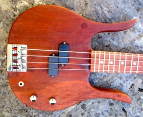 longhorn2