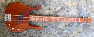 Longhorn