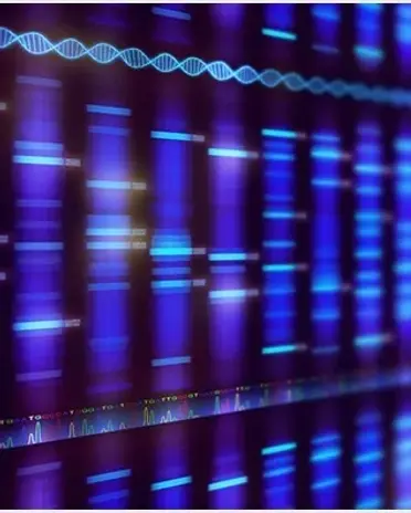 Sequencing_-_full.webp