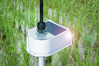 flow_rice07_ファーモ_伝農アシスト株式会社.png