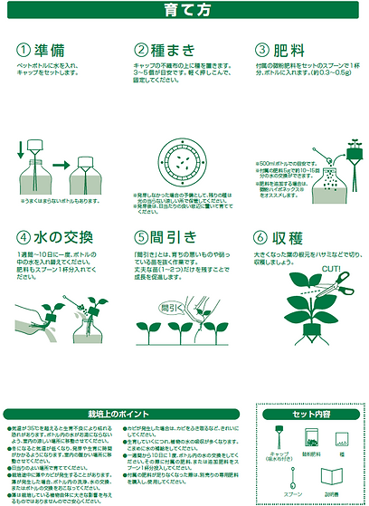 伝農アシスト(株)_おうちdeペットボトル水栽培説明書.png